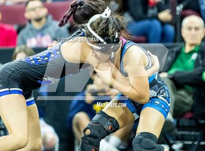 Thumbnail 1 in CIF Wrestling Semifinals photogallery.