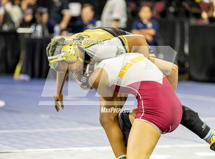 Thumbnail 2 in CIF Wrestling Semifinals photogallery.