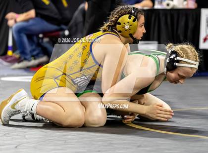 Thumbnail 2 in CIF Wrestling Semifinals photogallery.