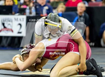 Thumbnail 1 in CIF Wrestling Semifinals photogallery.