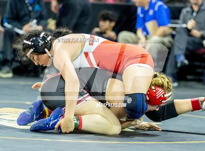 Thumbnail 3 in CIF Wrestling Semifinals photogallery.