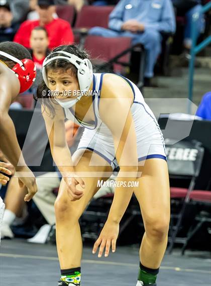 Thumbnail 3 in CIF Wrestling Semifinals photogallery.