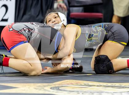 Thumbnail 3 in CIF Wrestling Semifinals photogallery.