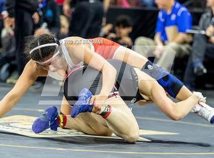 Thumbnail 2 in CIF Wrestling Semifinals photogallery.