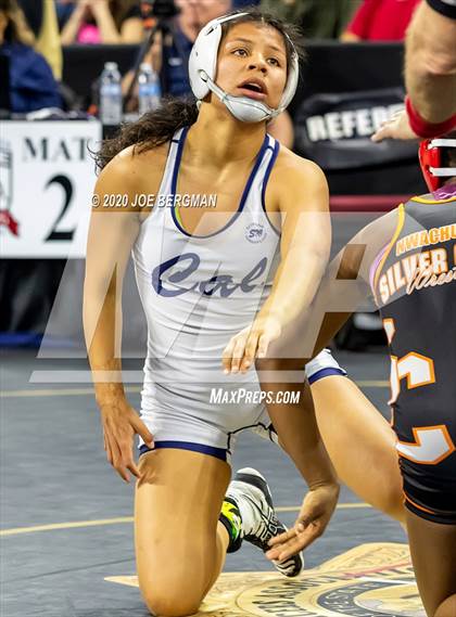 Thumbnail 2 in CIF Wrestling Semifinals photogallery.