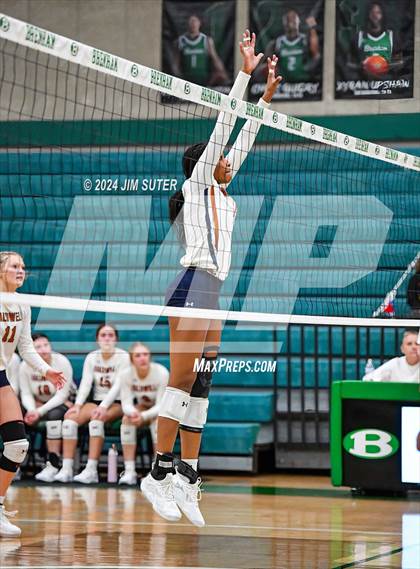 Thumbnail 3 in Caldwell vs Stafford (UIL Volleyball 4A D2 Bi-District) photogallery.