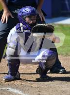 Photo from the gallery "Panama @ Vian"