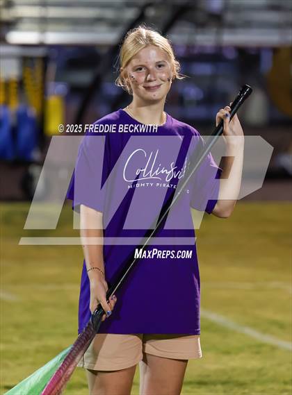 Thumbnail 3 in Tioga @ Collinsville photogallery.