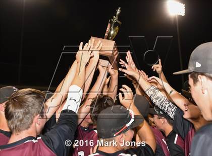 Thumbnail 1 in Mountain Ridge vs. Hamilton (AIA D1 Final Awards Photos) photogallery.