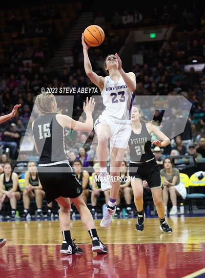 Thumbnail 1 in D'Evelyn vs. Holy Family (CHSAA 4A Championship) photogallery.