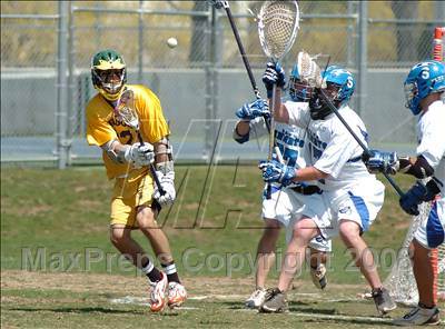 Thumbnail 1 in Hamden @ Southington photogallery.