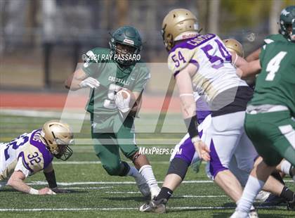 Thumbnail 1 in Sayville @ William Floyd photogallery.