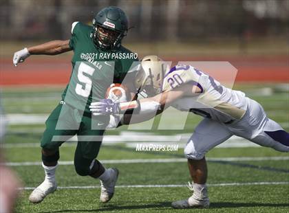 Thumbnail 1 in Sayville @ William Floyd photogallery.