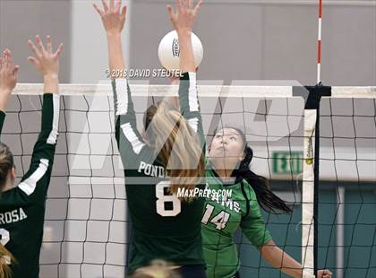 Thumbnail 3 in St. Mary's vs. Ponderosa (CIF SJS D2 Final) photogallery.