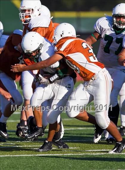 Thumbnail 1 in Pasadena JV @ Alvin JV photogallery.
