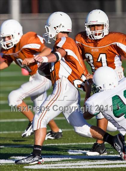 Thumbnail 2 in Pasadena JV @ Alvin JV photogallery.