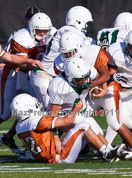 Thumbnail 3 in Pasadena JV @ Alvin JV photogallery.