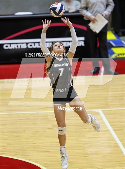 Thumbnail 1 in Gunter vs. Bushland (UIL 3A Final) photogallery.