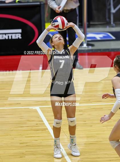 Thumbnail 3 in Gunter vs. Bushland (UIL 3A Final) photogallery.