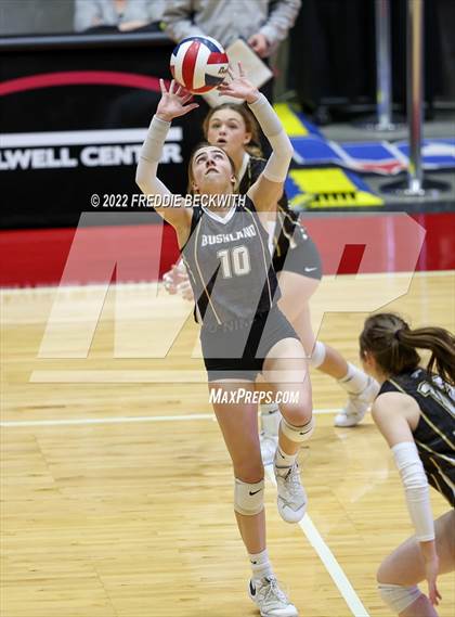 Thumbnail 3 in Gunter vs. Bushland (UIL 3A Final) photogallery.