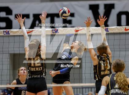 Thumbnail 1 in Gunter vs. Bushland (UIL 3A Final) photogallery.