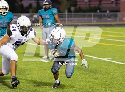 Thumbnail 1 in Ardrey Kell @ Palisades photogallery.