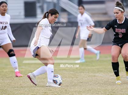 Thumbnail 1 in Mesa vs Desert Ridge (Desert Ridge Cactus Cup) photogallery.