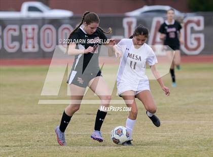 Thumbnail 2 in Mesa vs Desert Ridge (Desert Ridge Cactus Cup) photogallery.