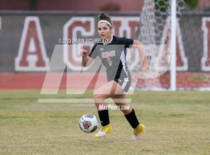 Thumbnail 1 in Mesa vs Desert Ridge (Desert Ridge Cactus Cup) photogallery.