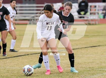 Thumbnail 3 in Mesa vs Desert Ridge (Desert Ridge Cactus Cup) photogallery.