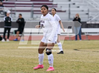 Thumbnail 1 in Mesa vs Desert Ridge (Desert Ridge Cactus Cup) photogallery.