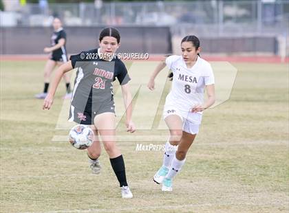 Thumbnail 1 in Mesa vs Desert Ridge (Desert Ridge Cactus Cup) photogallery.