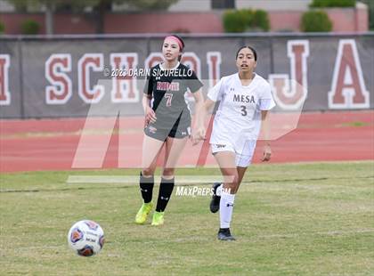Thumbnail 3 in Mesa vs Desert Ridge (Desert Ridge Cactus Cup) photogallery.