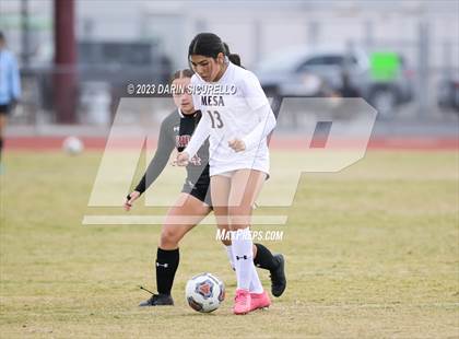 Thumbnail 3 in Mesa vs Desert Ridge (Desert Ridge Cactus Cup) photogallery.