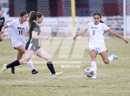 Thumbnail 1 in Mesa vs Desert Ridge (Desert Ridge Cactus Cup) photogallery.