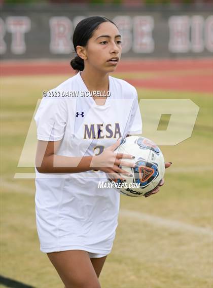 Thumbnail 1 in Mesa vs Desert Ridge (Desert Ridge Cactus Cup) photogallery.