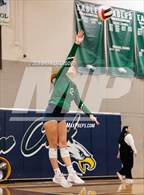 Photo from the gallery "Vista Ridge @ Pine Creek"