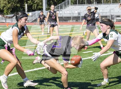 Thumbnail 2 in Livermore @ Amador Valley (Green and Gold Invitational-SRVHS) photogallery.