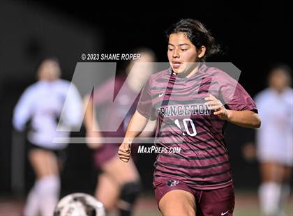 Thumbnail 2 in West Mesquite @ Princeton (Princeton Cup Showcase) photogallery.