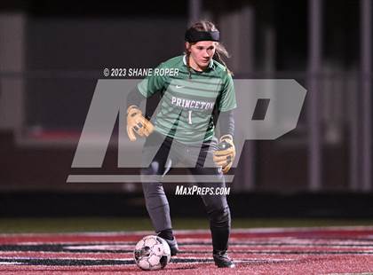 Thumbnail 3 in West Mesquite @ Princeton (Princeton Cup Showcase) photogallery.