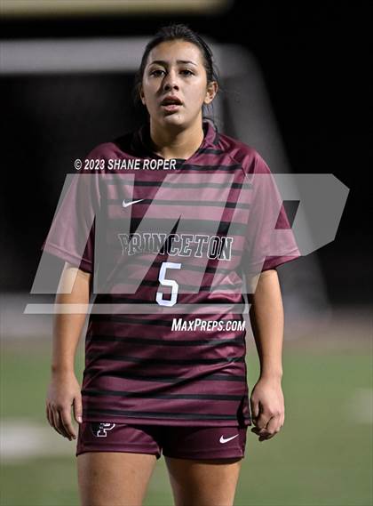 Thumbnail 3 in West Mesquite @ Princeton (Princeton Cup Showcase) photogallery.