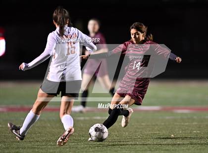 Thumbnail 3 in West Mesquite @ Princeton (Princeton Cup Showcase) photogallery.