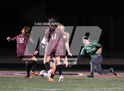 Thumbnail 3 in West Mesquite @ Princeton (Princeton Cup Showcase) photogallery.