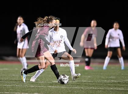 Thumbnail 3 in West Mesquite @ Princeton (Princeton Cup Showcase) photogallery.