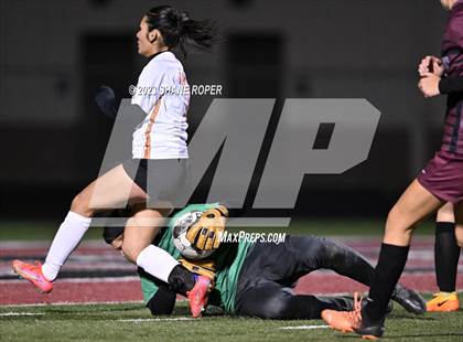 Thumbnail 2 in West Mesquite @ Princeton (Princeton Cup Showcase) photogallery.