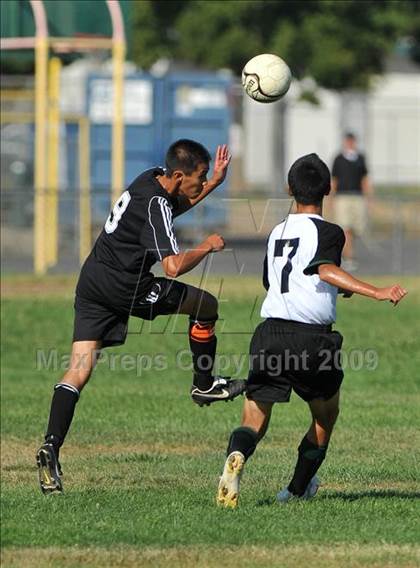 Thumbnail 3 in Franklin @ El Camino photogallery.