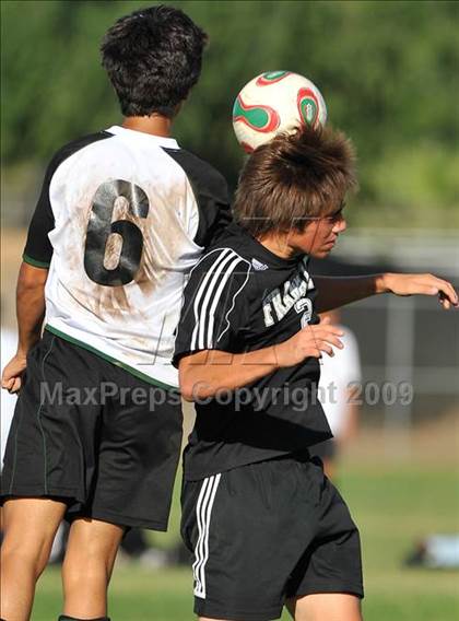Thumbnail 2 in Franklin @ El Camino photogallery.