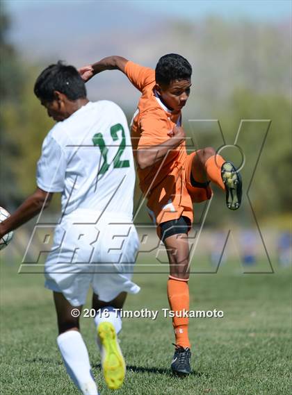 Thumbnail 3 in Douglas @ Bishop Manogue photogallery.