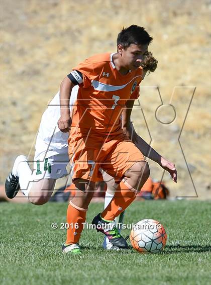 Thumbnail 1 in Douglas @ Bishop Manogue photogallery.