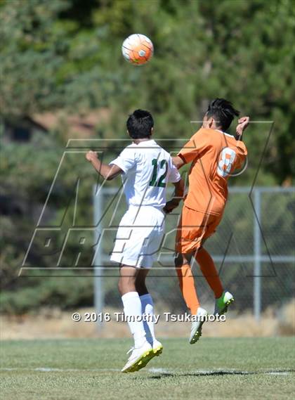 Thumbnail 2 in Douglas @ Bishop Manogue photogallery.